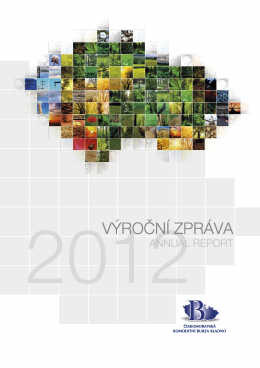 výroční zpráva