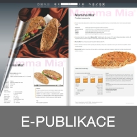 E-PUBLIKACE